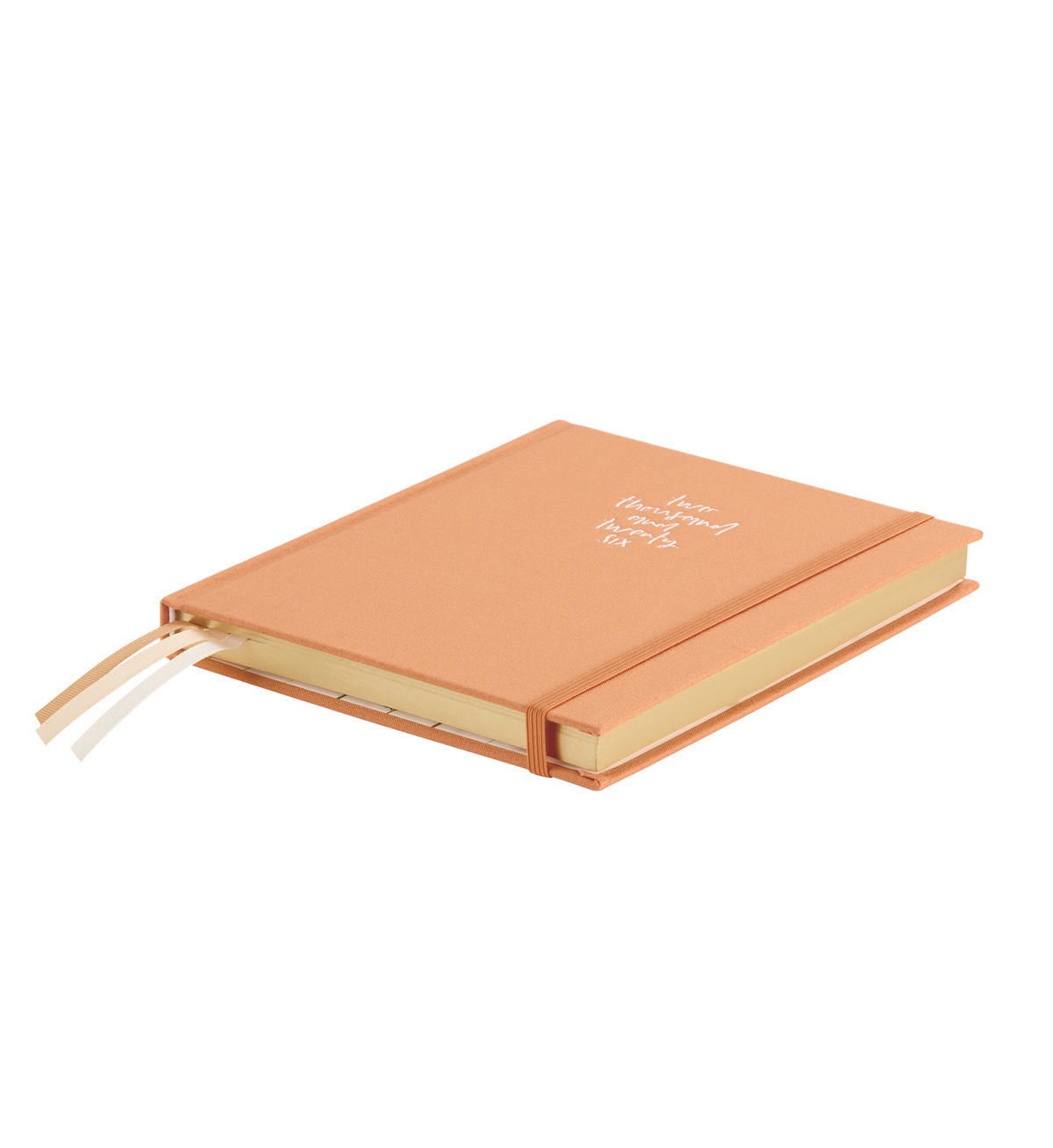 Emma Kate Co 2026 Weekly Vertical Planner Clementine