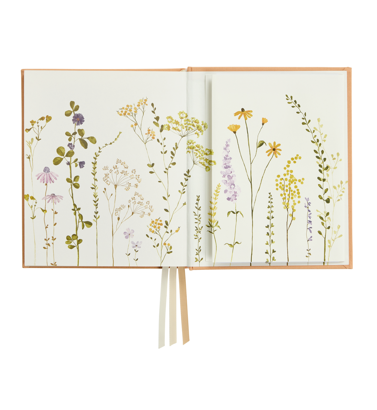 Emma Kate Co 2026 Weekly Vertical Planner Clementine