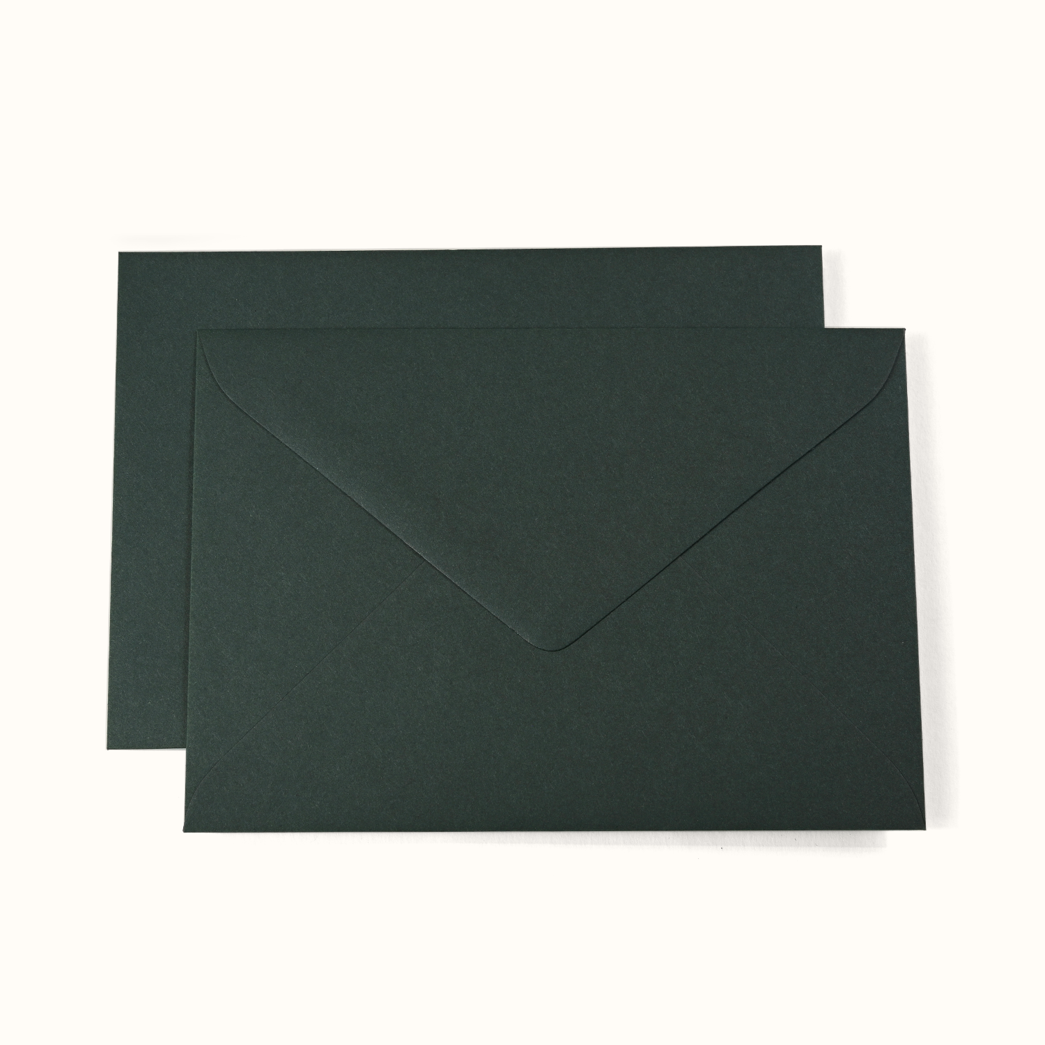 C6 Cypress Envelopes