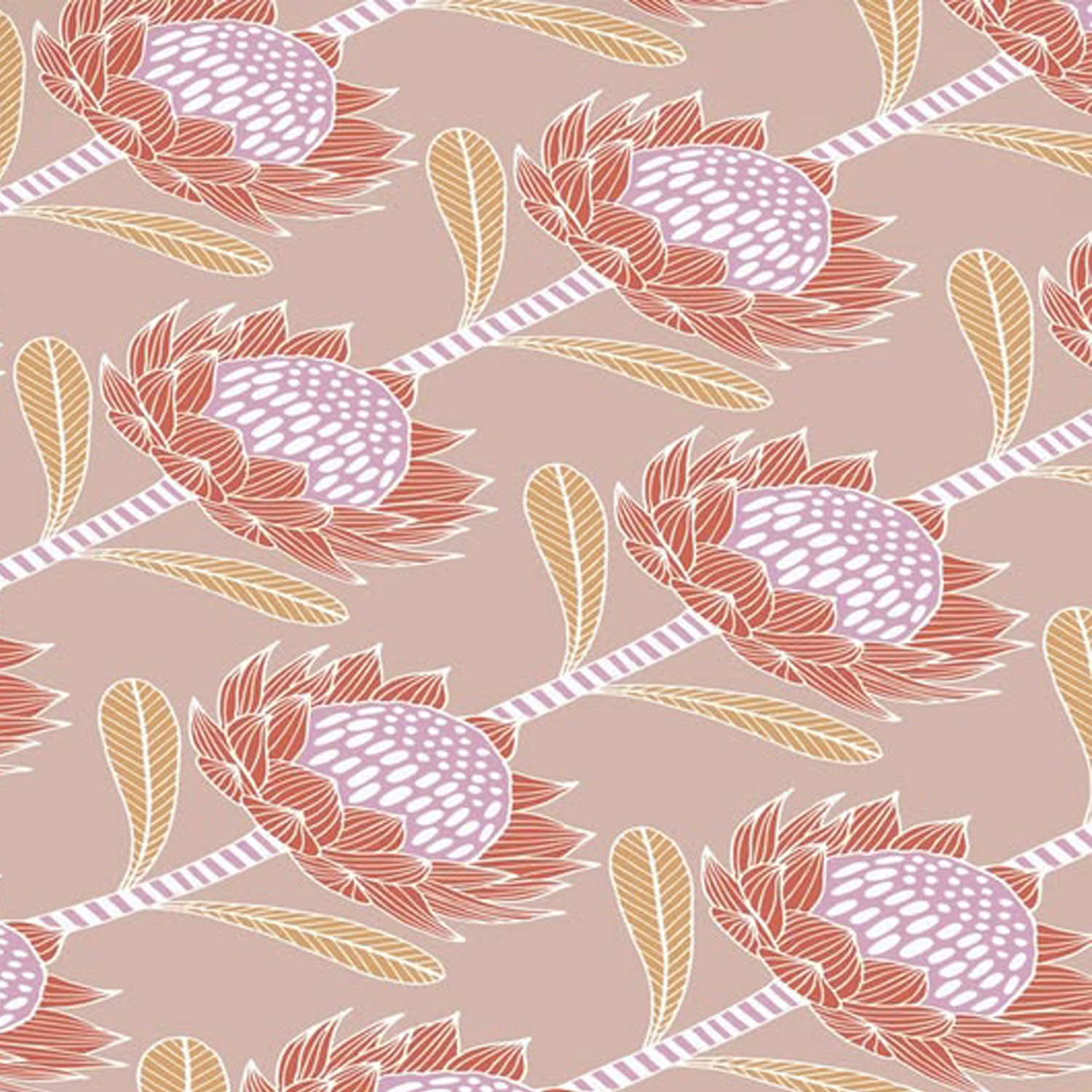 Waratah Mocha