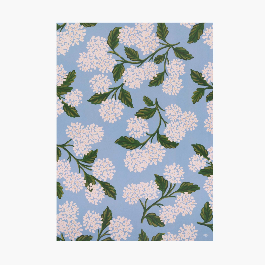 Rifle Paper Co sheet wrapping paper. White hydrangeas on soft blue background. 
